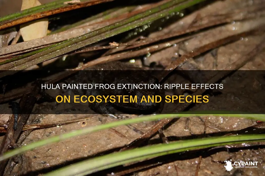how would the hula painted frog extinction affect other species