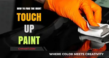 Choosing the Perfect Touch-Up Paint: A Comprehensive Guide for Beginners