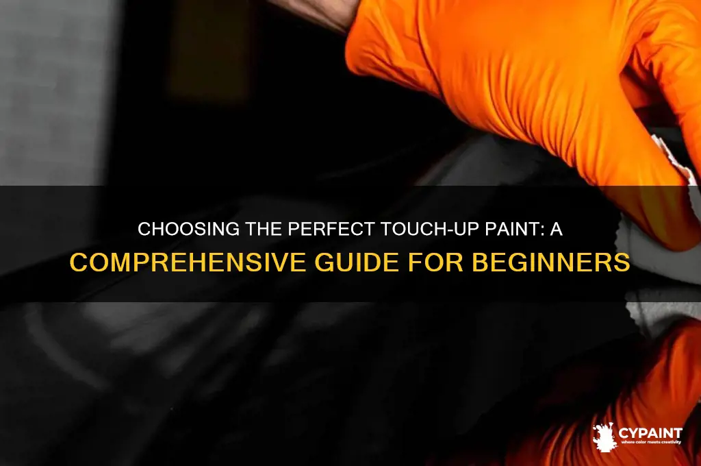 how yo find the right touch up paint