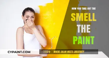 Effective Ways to Eliminate Paint Smell from Your Home Quickly