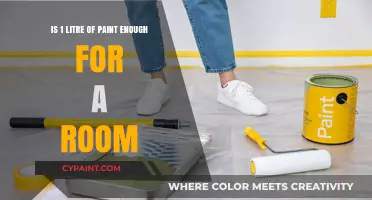 Paint Estimation: One Litre Enough for a Room?