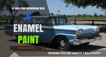 Is Ford's 1959 Wedgewood Blue an Enamel Paint?