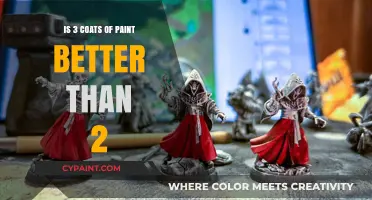 Three Coats vs. Two: Which Paint Application Yields Better Results?