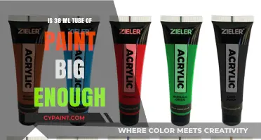 Is a 38ml Paint Tube Sufficient for Your Art Projects?