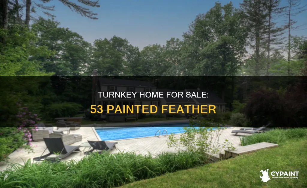 is 53 painted feather a turnkey home for sale