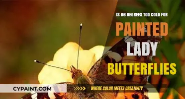 Painted Ladies in Peril: 66 Degrees—Too Cold?