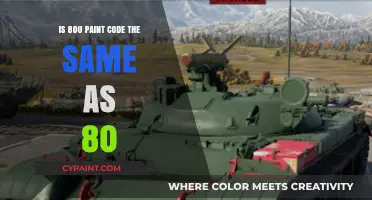 Understanding Paint Codes: Is 80U the Same as 80?