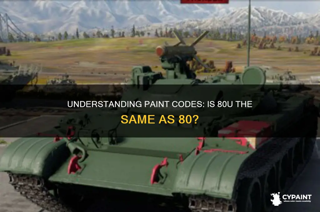 is 80u paint code the same as 80