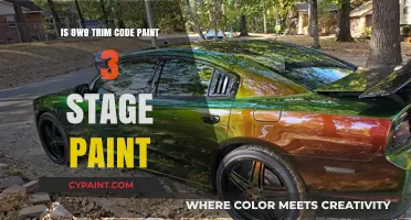 Understanding 8W9 Trim Code: Is It a 3-Stage Paint Process?