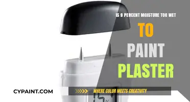Moisture Levels: Painting Plaster, Wet or Dry?