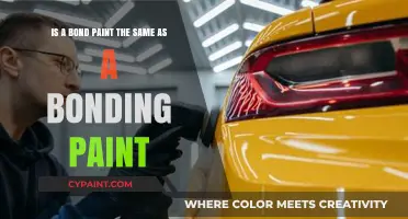 Bond vs. Bonding Paint: Understanding the Key Differences and Uses
