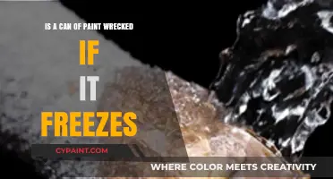 How Freezing Affects Paint: What You Need to Know