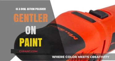 Dual Action Polishers: Gentle Paint Care or Abrasive Risk?