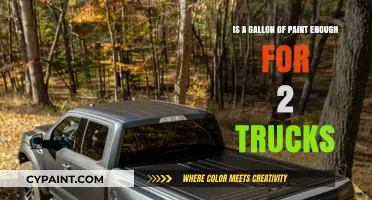 Paint Coverage: One Gallon, Two Trucks – Enough?