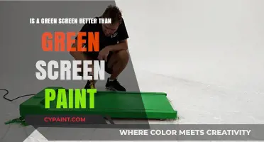 Green Screen vs. Paint: Which is the Better Option?