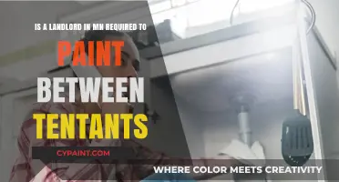 MN Landlord Painting Requirements: Must Walls Be Refreshed Between Tenants?