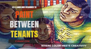 Landlord Responsibilities: Painting Between Tenants – Legal Obligations Explained