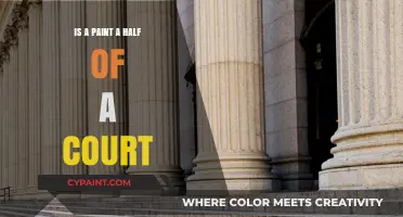 Is a Paint a Half of a Court? Unraveling the Legal Debate