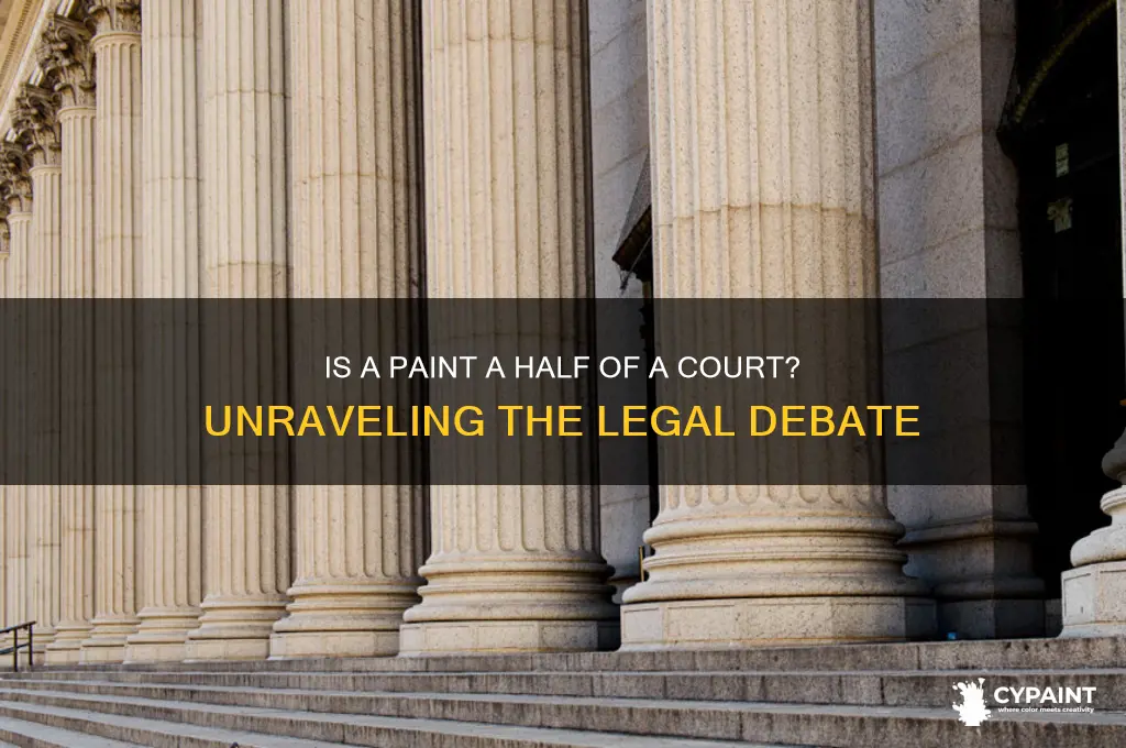 is a paint a half of a court
