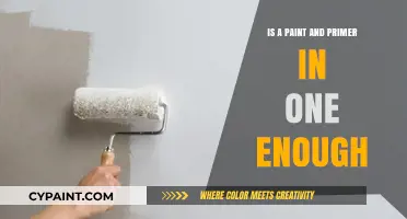 Paint and Primer in One: Sufficient or Just a Shortcut?