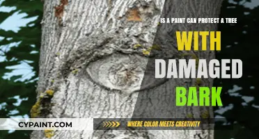 Can Paint Shield Trees with Damaged Bark? Exploring the Protective Myth