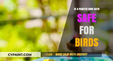 Painted Bird Baths: Safe Haven or Hidden Danger for Birds?