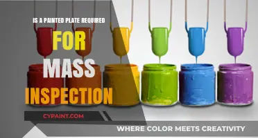 Painted Plates: Essential or Optional for Mass Inspection?
