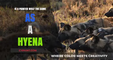 Wolf vs Hyena: What's in a Name?