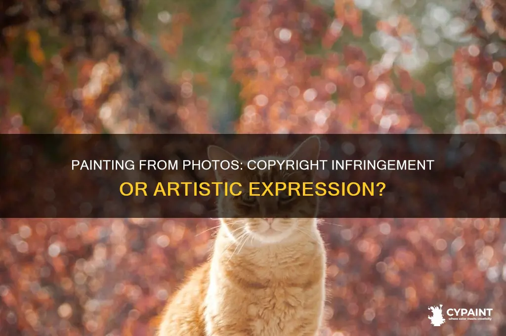is a painting of a photograph copyright infringement