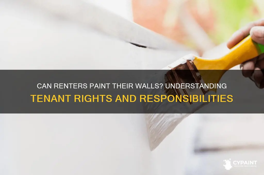 is a renter has a right to paint the room