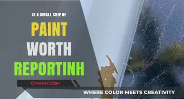 Is a Small Paint Chip Worth Reporting? Weighing the Pros and Cons