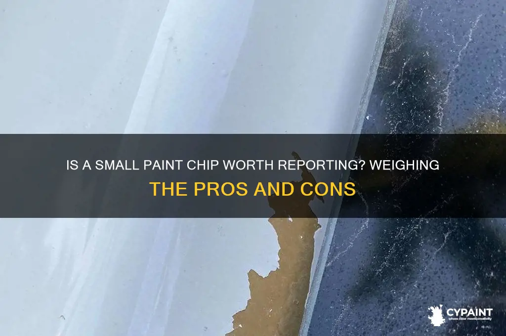 is a small chip of paint worth reportinh