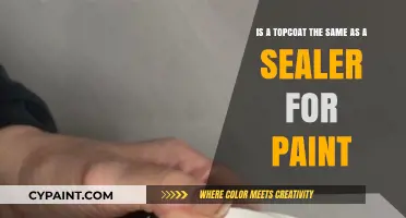 Topcoat vs. Sealer: Understanding the Difference for Paint Protection