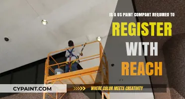US Paint Companies and REACH: Registration Requirements Explained
