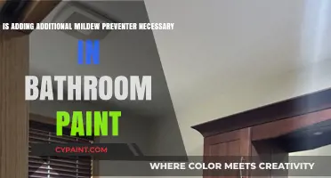 Mildew-Proofing Bathroom Paint: Is Extra Preventer Needed?