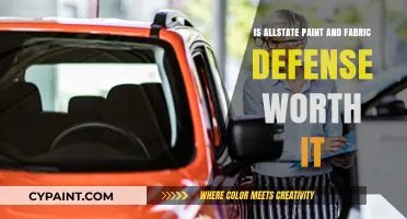 Is Allstate Paint and Fabric Defense a Worthwhile Investment?