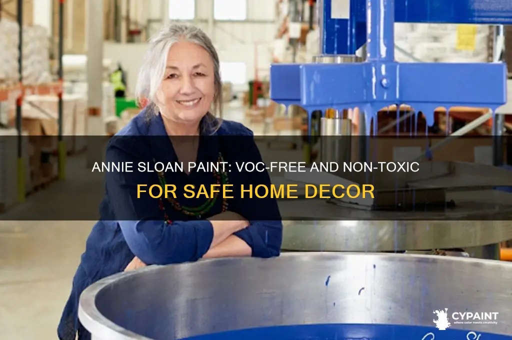 is annie sooan paint voc free and nobtoxic