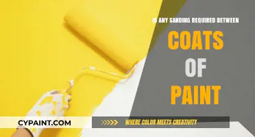 Sanding Between Paint Coats: Essential Step or Optional Technique?