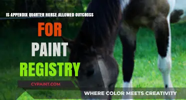 Appendix Quarter Horses: Permitted Paint Outcross?