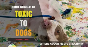 Is Apple Barrel Paint Safe for Dogs? Non-Toxic Facts Revealed
