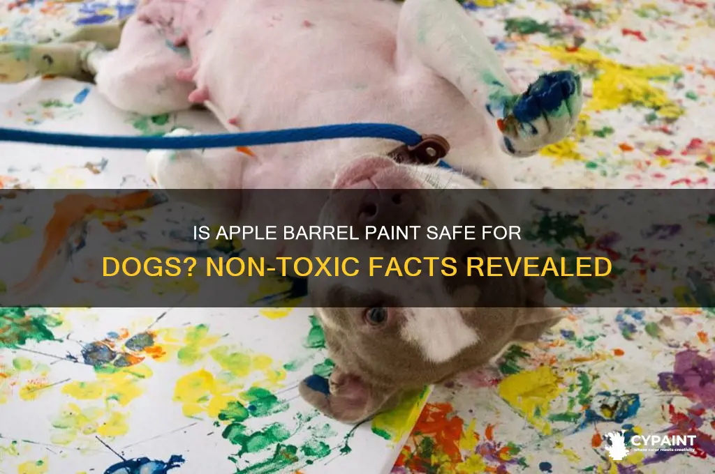 is apple barrel paint non toxic to dogs
