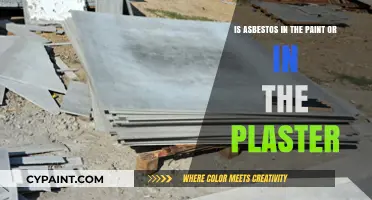 Asbestos in Paint or Plaster: Where is it Hiding?