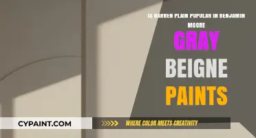 Is Barren Plain a Popular Benjamin Moore Gray Beige Paint?