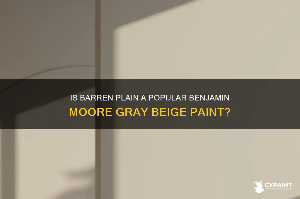 is barren plain popular in benjamin moore gray beigne paints