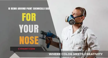Paint Chemicals: Are They Harming Your Nose?