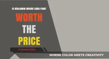 Benjamin Moore Aura Paint: Is the Premium Price Justified?