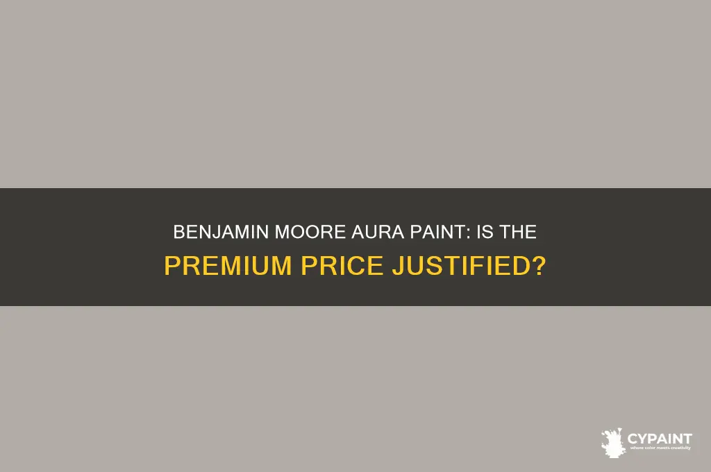is benjamin moore aura paint worth the price