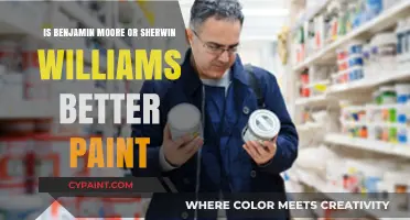 Benjamin Moore vs. Sherwin-Williams: Which Paint Brand Reigns Supreme?