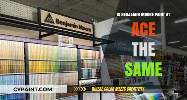 Is Ace Hardware's Benjamin Moore Paint the Same as Elsewhere?