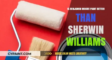 Benjamin Moore vs. Sherwin Williams: Which Paint Brand Reigns Supreme?